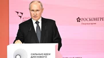 Column Why Western embargo does not scare Russia Column Why Western embargo does not scare Russia