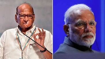 NCP leader Sharad Pawar says Ajit pawar rebellion individual decision: Happy that PM Modi NCP leader Sharad Pawar says Ajit pawar rebellion individual decision: Happy that PM Modi