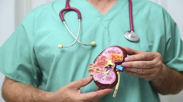 five things you can do in your lifestyle to keep your kidneys healthy-rse- five things you can do in your lifestyle to keep your kidneys healthy-rse-
