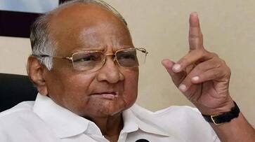 Maharashtra Politics Crisis Rebel NCP MLA Amol Kolhe Returns to Sharad Pawar camp Maharashtra Politics Crisis Rebel NCP MLA Amol Kolhe Returns to Sharad Pawar camp