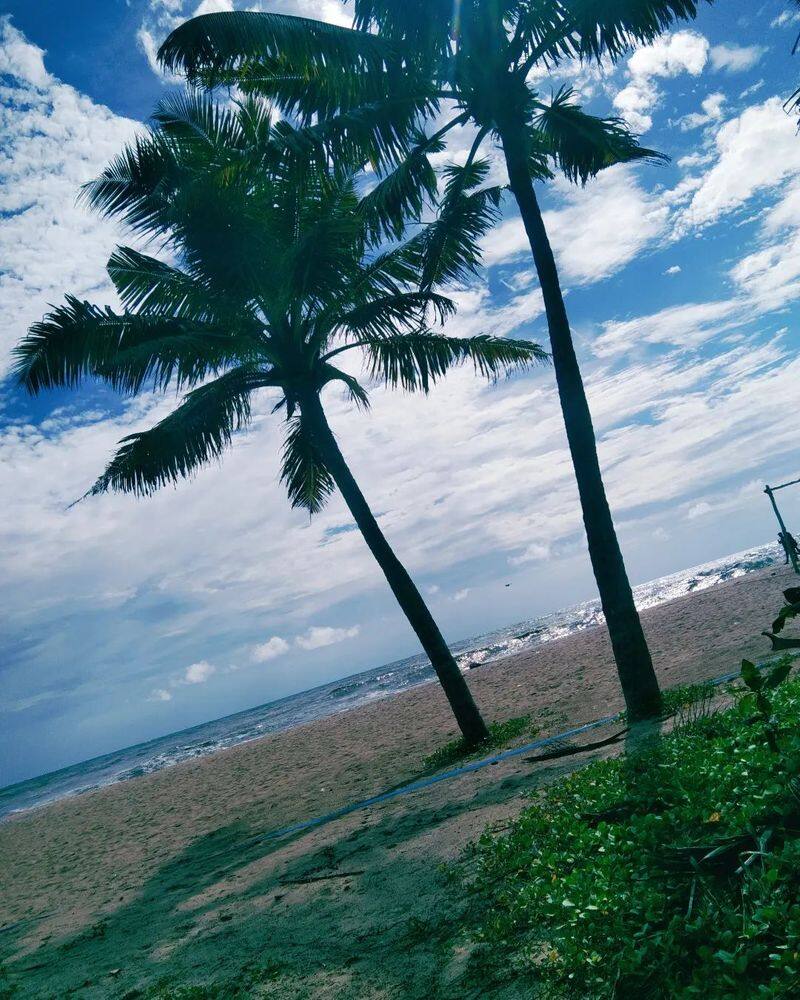 Kovalam to Alleppey: 10 serene beaches of Kerala ATG EAI