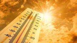 Heat wave warning for Palakkad, temperature likely to rise up to 41 degrees Celsius