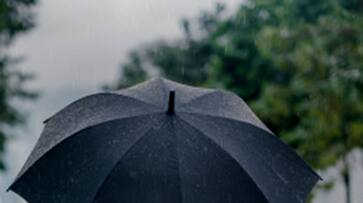 Precautions to be Taken During Monsoon Season Precautions to be Taken During Monsoon Season