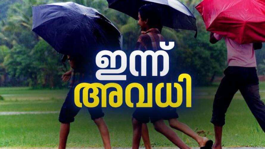 തെരുവുനായ ശല്യം; കോഴിക്കോട് ജില്ലയിലെ ആറ് വിദ്യാഭ്യാസ സ്ഥാപനങ്ങൾക്ക് അവധി