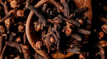 here the clove remedy to remove shani dosha according to astrology in tamil mks here the clove remedy to remove shani dosha according to astrology in tamil mks