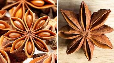 Promoting digestive health to regulating menstrual cycle: 7 benefits of Star anise ATG EAI Promoting digestive health to regulating menstrual cycle: 7 benefits of Star anise ATG EAI