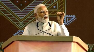 Harish Salve made a big disclosure about PM Modi on fugitives Vijay Mallya and Nirav Modi Harish Salve made a big disclosure about PM Modi on fugitives Vijay Mallya and Nirav Modi