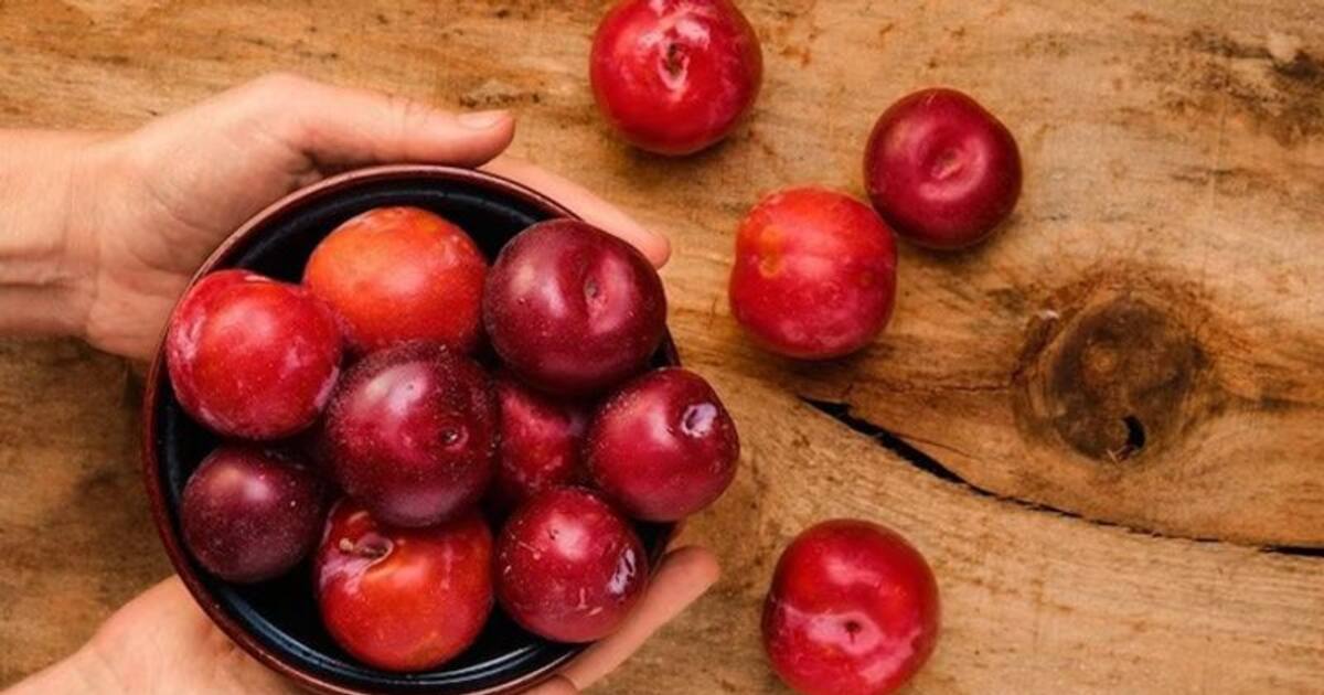5 Health benefits of eating Plums in Rainy season