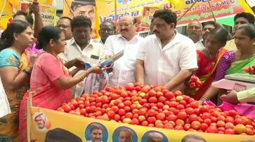 Political parties in andhra pradesh selling cheaper tomato Political parties in andhra pradesh selling cheaper tomato