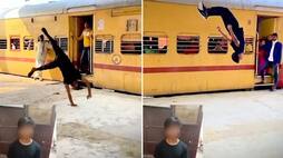 Bihar RPF Police arrests man for doing cartwheels at railway platform; internet divided WATCH AJR