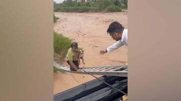 Dramatic Video Shows Man Risking His Life To Rescue Dog Stuck In Raging Waters In Chandigarh Dramatic Video Shows Man Risking His Life To Rescue Dog Stuck In Raging Waters In Chandigarh