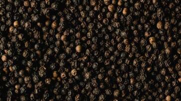 Pepper Price Increased in Karnataka grg Pepper Price Increased in Karnataka grg