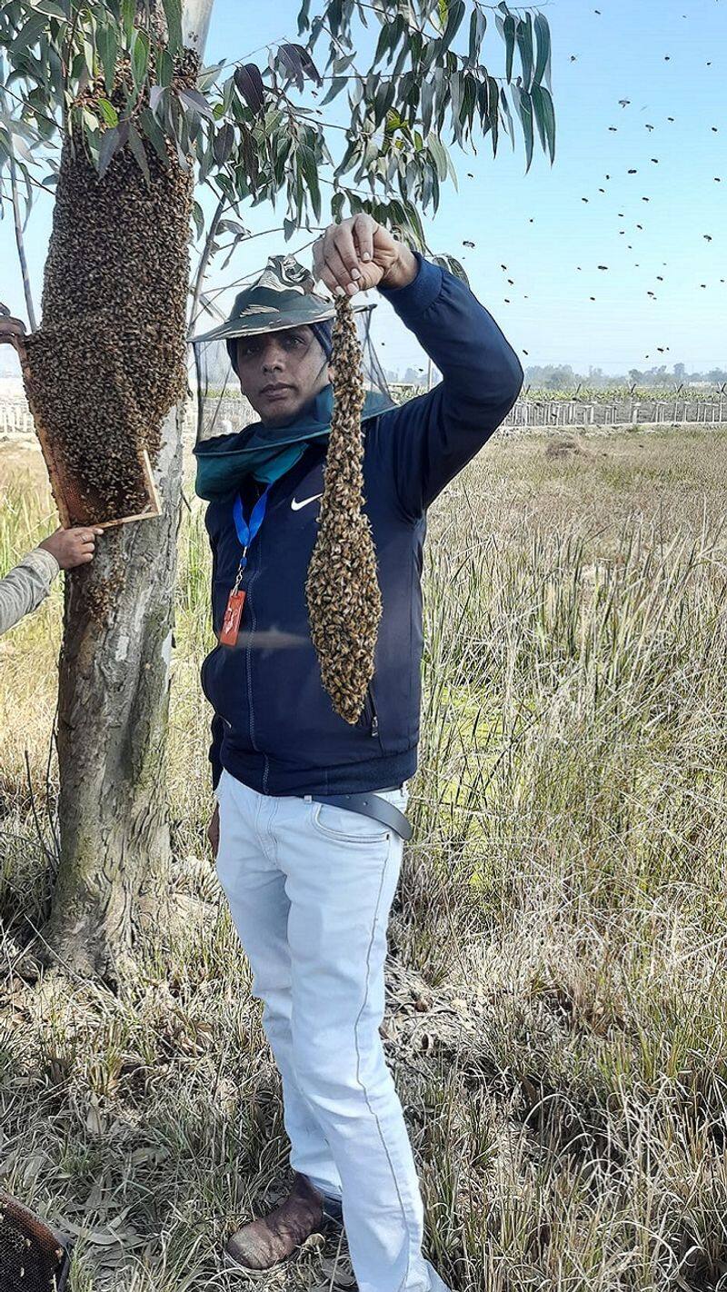 Dr Nitin Singh’s Successful Beekeeping Business In India