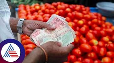 Tomato price in Chennai Koyambedu market increased by Rs 30 in one day Tomato price in Chennai Koyambedu market increased by Rs 30 in one day