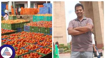 Tomato Price : Jackpot for the farmer who grows tomato, 38 lakhs in one day MKA Tomato Price : Jackpot for the farmer who grows tomato, 38 lakhs in one day MKA