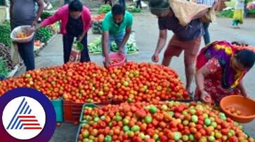 This farmer sold tomatoes and earned three crore rupees a month and became a millionaire MKA This farmer sold tomatoes and earned three crore rupees a month and became a millionaire MKA