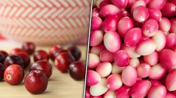 Unraveling the Family Connection Rumor: Separating Fact from Fiction