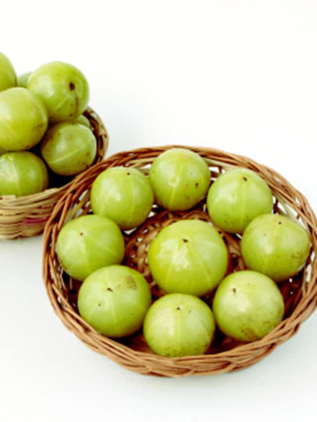 What is the significance of Amla tree in Hinduism