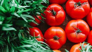 Tomato price hike issue mom asked daughter in Dubai to bring 10 kilo tomato while coming India in vacation Tomato price hike issue mom asked daughter in Dubai to bring 10 kilo tomato while coming India in vacation