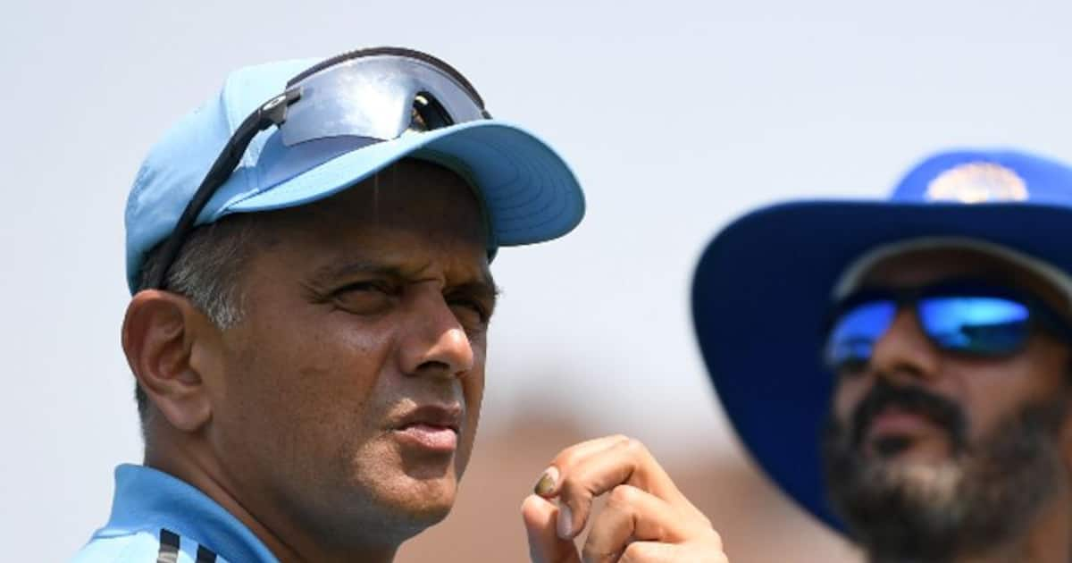 India To Seek New Coach Post World Cup Rahul Dravid Unlikely To Continue 6484