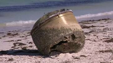 Mysterious object washes up on Australian beach; internet links it to UFOs, MH370 flight, Chandrayaan-3 & more Mysterious object washes up on Australian beach; internet links it to UFOs, MH370 flight, Chandrayaan-3 & more