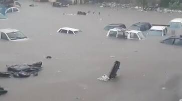 Rain disaster in Gujarat, Cars and cattle washed away in flood South Gujarat And Saurashtra RMA Rain disaster in Gujarat, Cars and cattle washed away in flood South Gujarat And Saurashtra RMA