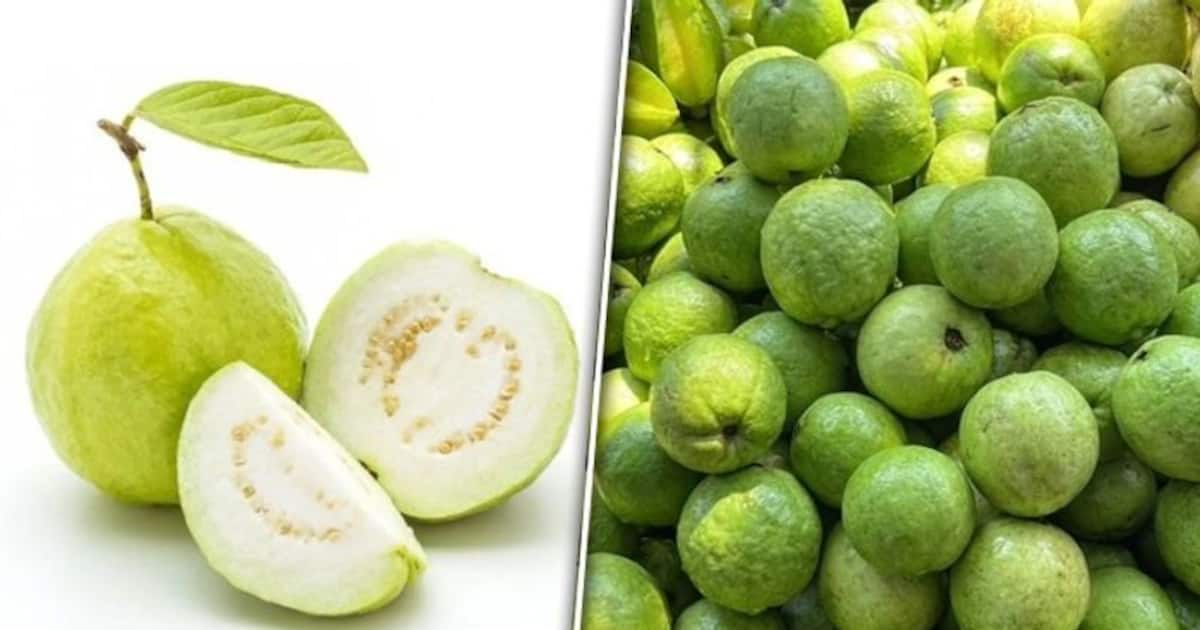 Immunity booster to Vision protection: 7 health benefits of eating Guava