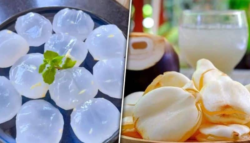 amazing health benefits of nungu or ice apple in tamil mks
