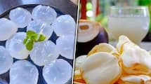 ice apple or nungu sarbath recipe in tamil and its benefits during summer mks