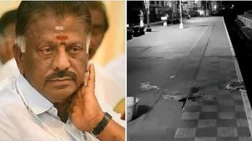 OPS has condemned the incident of killing of a woman at Saidapet railway station OPS has condemned the incident of killing of a woman at Saidapet railway station