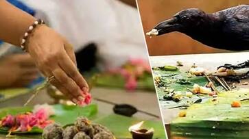 mahalaya patcham 2023 importance and pitru dosha remedy in tamil mks mahalaya patcham 2023 importance and pitru dosha remedy in tamil mks