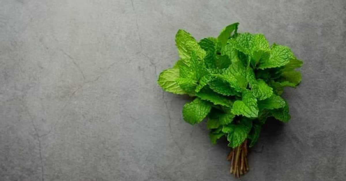 5 benefits of Mint Leaves on your Body