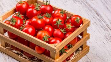 tomato prices will rise; prediction in arcot almanac tomato prices will rise; prediction in arcot almanac