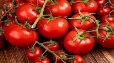 use lemons instead of tomatoes or stop tomato consumption up minister comments viral kms use lemons instead of tomatoes or stop tomato consumption up minister comments viral kms