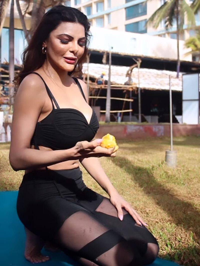 Sherlyn Chopra HOT Photos: Actress shocks fans by flaunting cleavage in  jaw-dropping attires