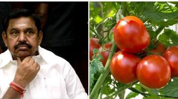 Edappadi Palaniswami has said that you can buy apples for the price of tomatoes Edappadi Palaniswami has said that you can buy apples for the price of tomatoes