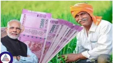 PM Modi Kisan Yojana money hasn't come in your account yet.. But do this immediately MKA PM Modi Kisan Yojana money hasn't come in your account yet.. But do this immediately MKA