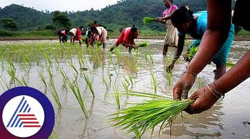 Centre is going to bring corporate agriculture snr Centre is going to bring corporate agriculture snr