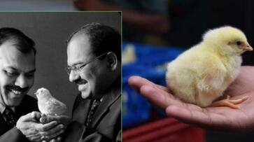 No IIT, IIM Education: Rs.12,000 Crore Turnover.. Success Story of India's Richest Poultry Farmers.. No IIT, IIM Education: Rs.12,000 Crore Turnover.. Success Story of India's Richest Poultry Farmers..