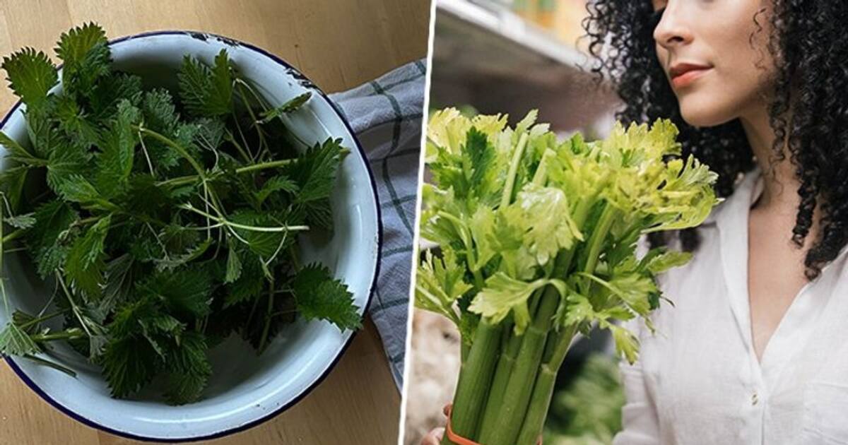 Improved digestion to heart health 7 health benefits of Celery