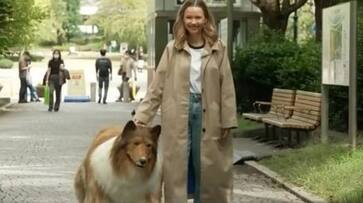 Japanese man transforms into human dog by spending 20,000 Dollar, takes first walk in public Japanese man transforms into human dog by spending 20,000 Dollar, takes first walk in public