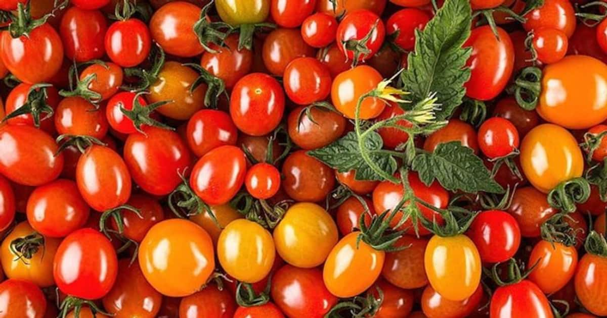 Bright Complexion To Fighting Acne 5 Revolutionary Skin Benefits Of Tomatoes