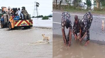 Andhra Pradesh Police rescue puppies after dog seeks help here is the very heart touching video ksm Andhra Pradesh Police rescue puppies after dog seeks help here is the very heart touching video ksm