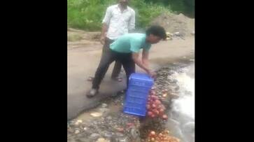 Himachal pradesh minister orders probe over farmers dumping apple Himachal pradesh minister orders probe over farmers dumping apple