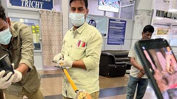 malaysia man brings pythons to india, customs official intercepts him in tamilnadus trichy international airport kms malaysia man brings pythons to india, customs official intercepts him in tamilnadus trichy international airport kms