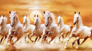 Vaastu shastra lucky paintings for home which picture keep at home suh Vaastu shastra lucky paintings for home which picture keep at home suh