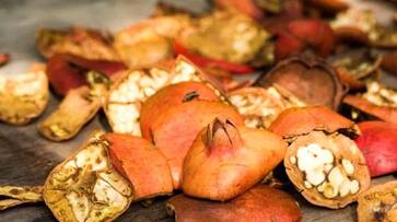 5 Skin benefits of Pomegranate Peels vma eai 5 Skin benefits of Pomegranate Peels vma eai
