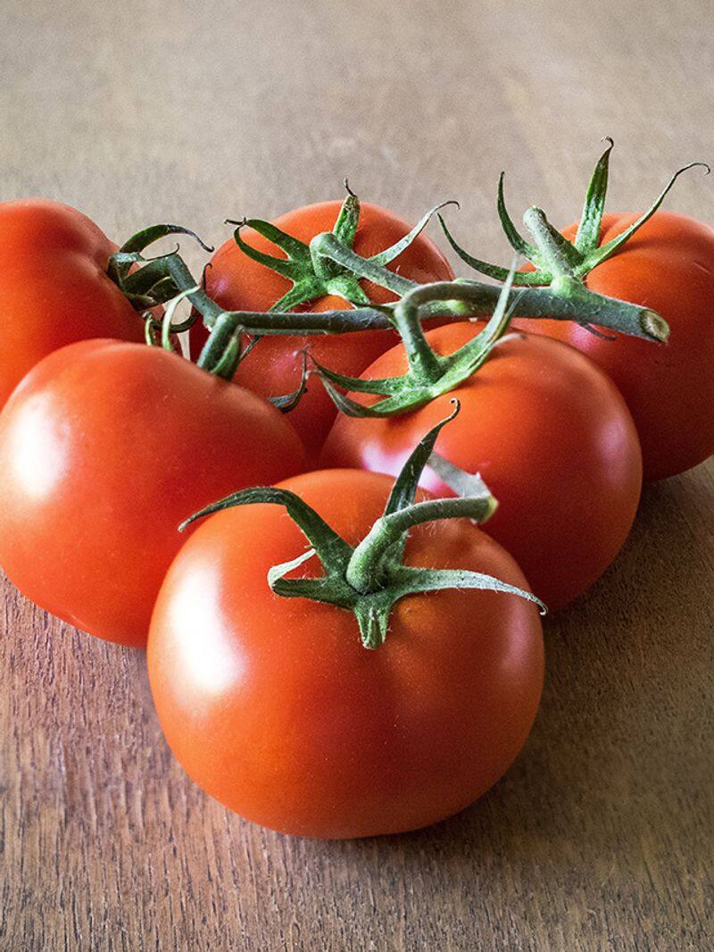 want-to-grow-tomatoes-in-your-garden-here-are-7-must-know-tips