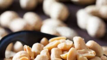 national peanut day 2023 know the benefits of eating peanut daily-rse- national peanut day 2023 know the benefits of eating peanut daily-rse-