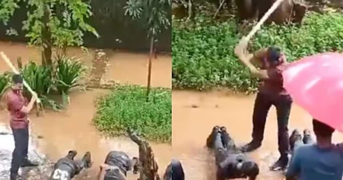 NCC Cadets: என்சிசி வீரர்களை தாக்கிய மாணவர் இடைநீக்கம்; வீடியோ வைரலான நிலையில் கல்லூரி நடவடிக்கை!